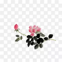 花瓣玫瑰-空若网 花瓣玫瑰-空若网