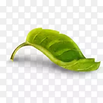 摄影叶画博客-叶-空若网 摄影叶画博客-叶-空若网