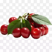 �ͰͶ�˹ӣ��ˮ��ʳƷ-ӣ��-������