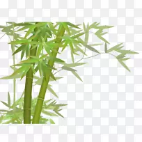 竹绿竹-空若网 竹绿竹-空若网