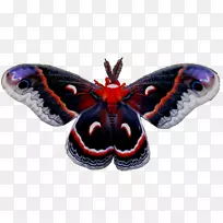 �������������ɶ�-����-������