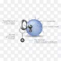 圣诞节饼干ASX:TLX ASX:MA1如果(我们)-圣诞节-空若网 圣诞节饼干ASX:TLX ASX:MA1如果(我们)-圣诞节-空若网