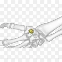 Ĵָ��ģ�������-������