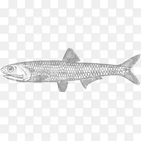 �ż�����ҵ�ź�ʳƷ������-������