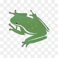 两栖爬行动物蛙昆虫媒介蛙-空若网 两栖爬行动物蛙昆虫媒介蛙-空若网