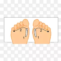 拇指、脚趾、下巴、面颊、手指-空若网 拇指、脚趾、下巴、面颊、手指-空若网