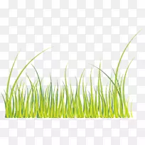 绿色下载-绿草-空若网 绿色下载-绿草-空若网