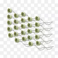 �����鱦����-������