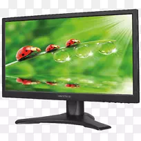 Hewlett-Packard������ʾ����������������Һ����ʾ��������-������