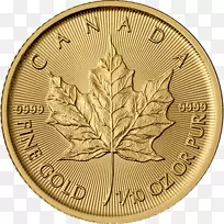 加拿大金枫叶金币加拿大枫叶-加拿大-空若网 加拿大金枫叶金币加拿大枫叶-加拿大-空若网