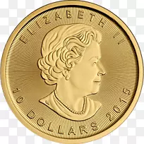 加拿大金枫叶金币-空若网 加拿大金枫叶金币-空若网