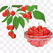 巴巴多斯樱桃、越橘食品-樱桃-空若网 巴巴多斯樱桃、越橘食品-樱桃-空若网