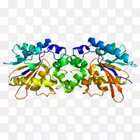 蛋白质生物学科学酶剪贴画-空若网 蛋白质生物学科学酶剪贴画-空若网