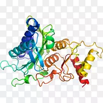 人体首饰有机体线剪贴画线-空若网 人体首饰有机体线剪贴画线-空若网