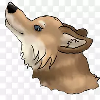 狗鼻子熊下巴爪子-空若网 狗鼻子熊下巴爪子-空若网