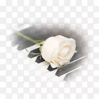 ������Ӱ���ּ���-����-������