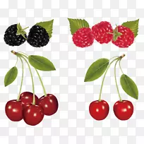 樱桃水果剪贴画-樱桃和桑树-空若网 樱桃水果剪贴画-樱桃和桑树-空若网