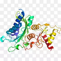 平面设计人体珠宝有机体剪贴画设计-空若网 平面设计人体珠宝有机体剪贴画设计-空若网