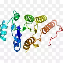 人体珠宝有机体剪贴画设计-空若网 人体珠宝有机体剪贴画设计-空若网