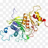 �ߵ������������-������