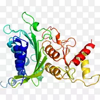 蔬菜有机体系列剪贴画-蔬菜-空若网 蔬菜有机体系列剪贴画-蔬菜-空若网