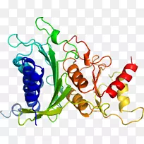 �߲��л���ϵ�м�����-�߲�-������