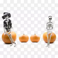 南瓜-线匹配3万圣节骨架安卓-创意万圣节南瓜-空若网 南瓜-线匹配3万圣节骨架安卓-创意万圣节南瓜-空若网