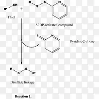 巯基胺交联吡啶氨基酸-空若网 巯基胺交联吡啶氨基酸-空若网