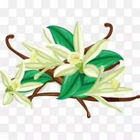 ��Ҷ�������������ݻ�����-������