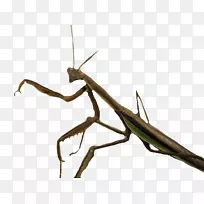 ������������-����-������