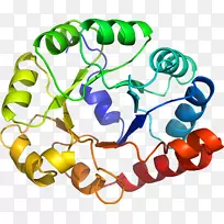 ���������л����߼�������-������