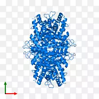 人体珠宝有机体线字体线-空若网 人体珠宝有机体线字体线-空若网