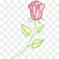 ·ÛºìÉ«Óô½ðÏ㻨ͼ±ê-·ÛºìÉ«Óô½ðÏã-¿ÕÈôÍø ·ÛºìÉ«Óô½ðÏ㻨ͼ±ê-·ÛºìÉ«Óô½ðÏã-¿ÕÈôÍø