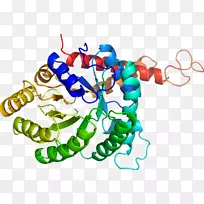 ���������л����߼�������-������