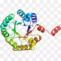 昆虫身体珠宝线剪贴画.昆虫-空若网 昆虫身体珠宝线剪贴画.昆虫-空若网