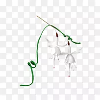 µçÄÔͼ±êÐÂÀ˲©¿Í¼ôÌù»-¿ÕÈôÍø µçÄÔͼ±êÐÂÀ˲©¿Í¼ôÌù»-¿ÕÈôÍø