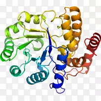 ���������л����߼�������-������