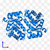 线点技术.线-空若网 线点技术.线-空若网