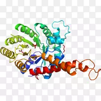 昆虫图形设计传粉器剪贴画昆虫-空若网 昆虫图形设计传粉器剪贴画昆虫-空若网