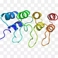 人体珠宝线剪贴画线-空若网 人体珠宝线剪贴画线-空若网