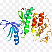 蔬菜茎线夹艺术-蔬菜-空若网 蔬菜茎线夹艺术-蔬菜-空若网