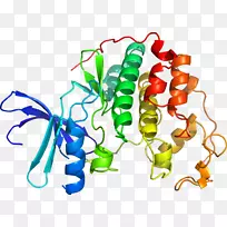 生物线动物剪贴画线-空若网 生物线动物剪贴画线-空若网