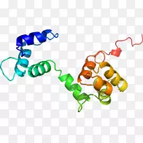 人体首饰有机体线剪贴画线-空若网 人体首饰有机体线剪贴画线-空若网