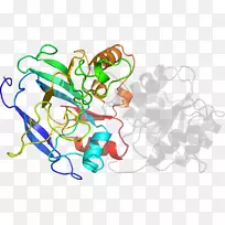 线条艺术点剪贴画线-空若网 线条艺术点剪贴画线-空若网