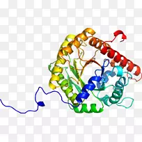 线点生物剪贴画线-空若网 线点生物剪贴画线-空若网