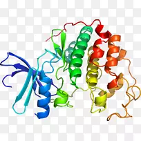 Êß²ËÓлúÌåϵÁмôÌù»-Êß²Ë-¿ÕÈôÍø Êß²ËÓлúÌåϵÁмôÌù»-Êß²Ë-¿ÕÈôÍø