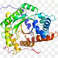 人体首饰有机体线剪贴画线-空若网 人体首饰有机体线剪贴画线-空若网