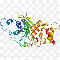 �߲�����������-�߲�-������