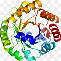 人体首饰有机体线剪贴画线-空若网 人体首饰有机体线剪贴画线-空若网