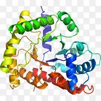 �����߶����������-������